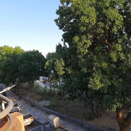 Kostovi 普里莫尔斯科